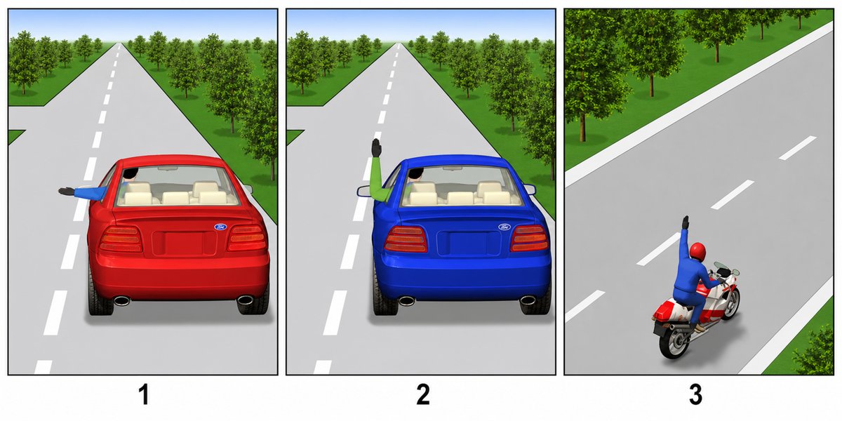 Illustration for the question: In which image is the driver giving a left-turn signal?